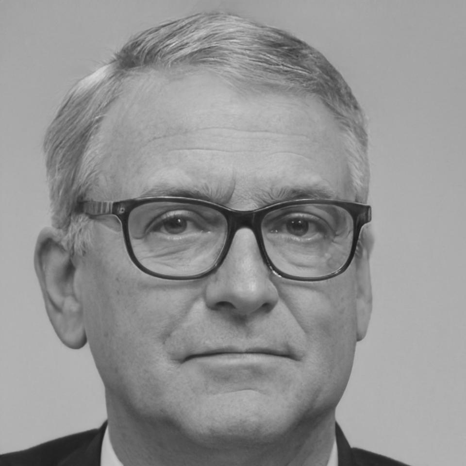 Armindo Veloso, Diretor de Análise de Risco na brenzivaloreq